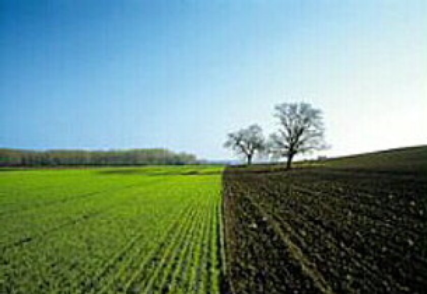 agriculture.jpg