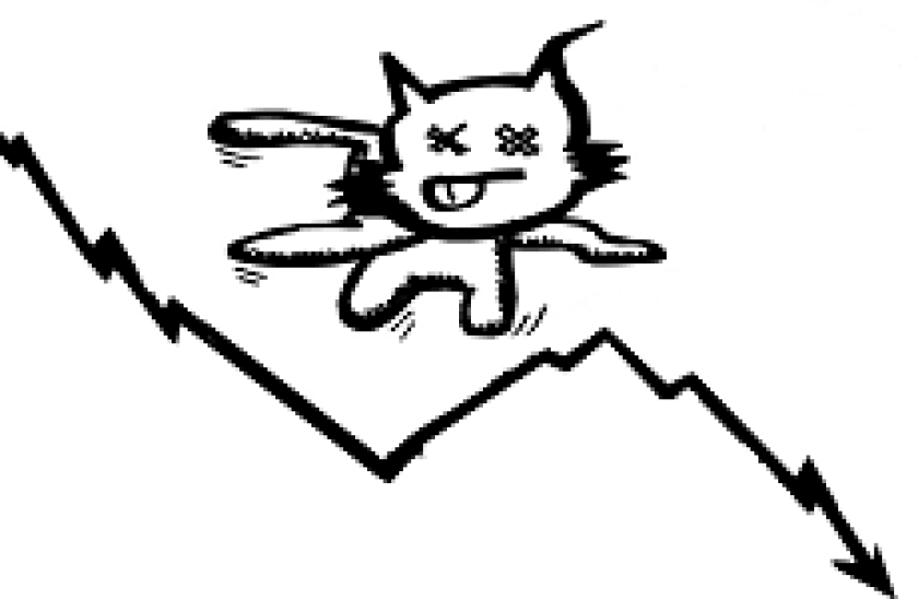 dead cat 230
