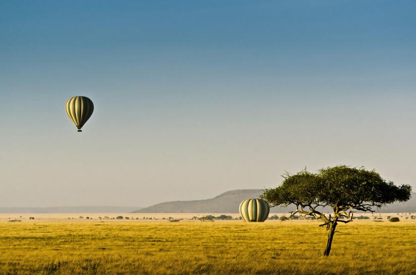 Africa, Tanzania, East Africa, Serengeti, national park, balloon, hot-air balloon, balloon ride,
