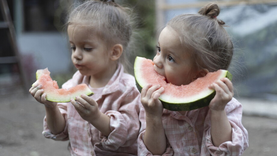 Little caucasian twins girls eating watermelon. Children sisters sitting together. Family time.