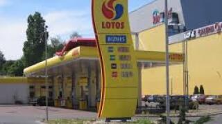 Lotos 230x150