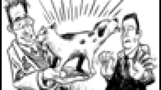 dw-85catdog.gif