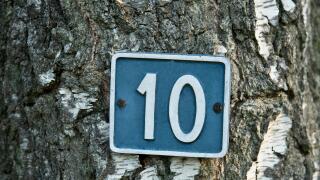 White number 10 on blue background attached to a tree