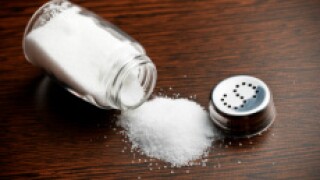 Salt 230x150