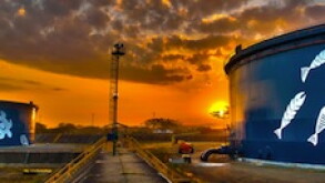 Ocensa