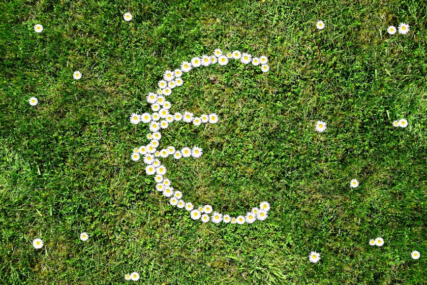 Euro sign from Daisy on a lawn, sustainability