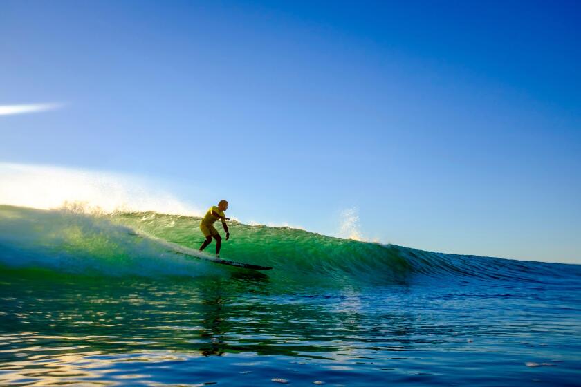 Surfer in Biscarrosse Plage (south western France)