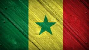 senegal px230