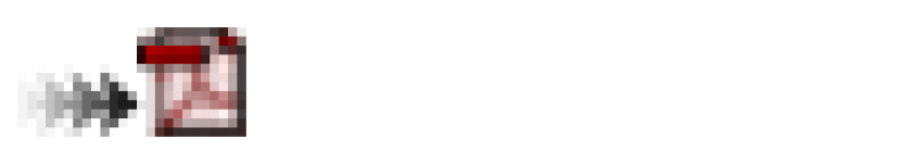pdf-icon2.gif