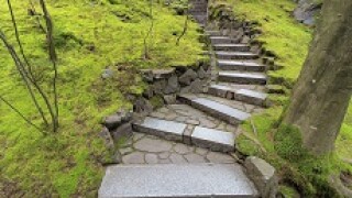 steps_230px